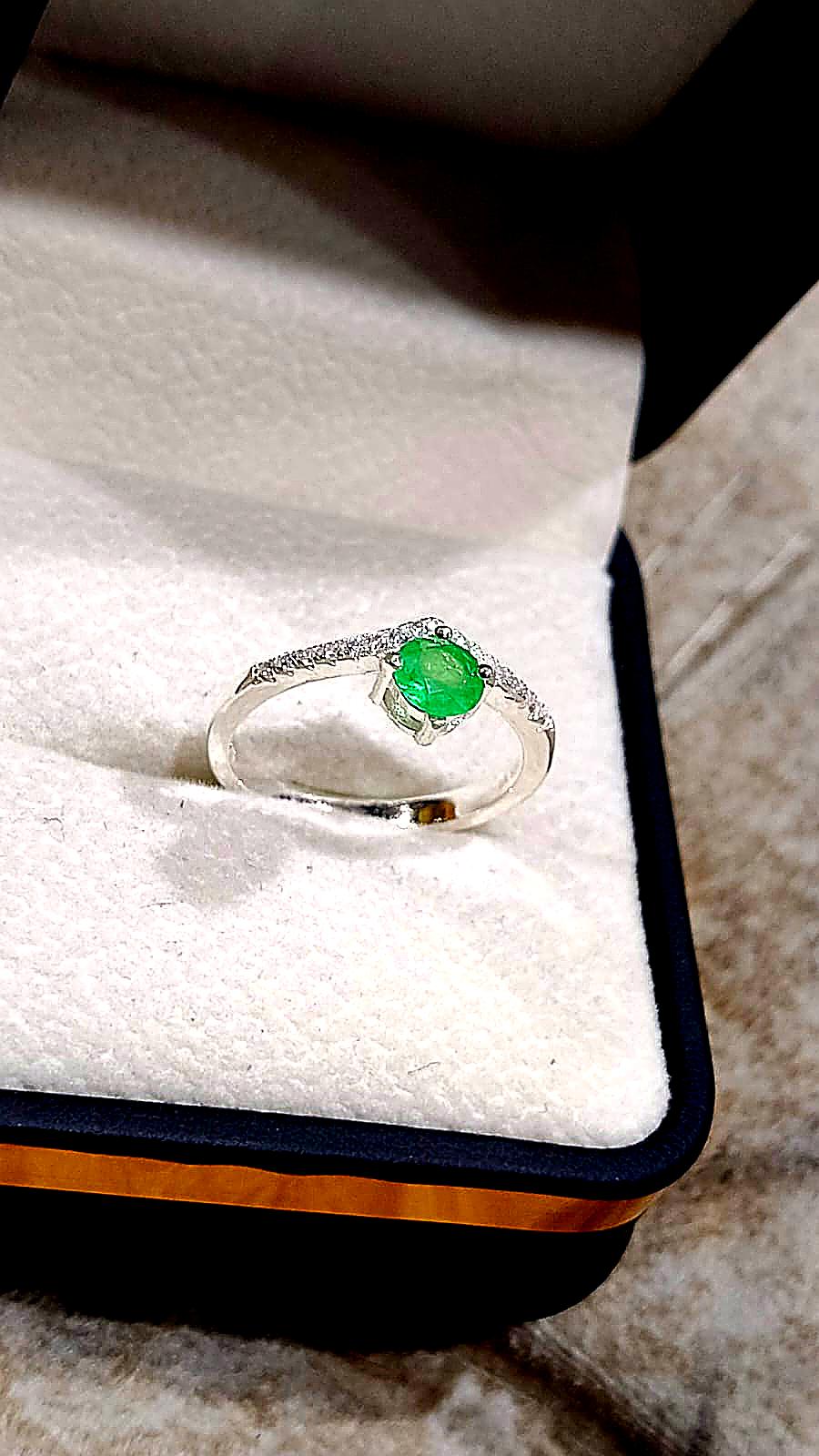✨Royal Glimmer✨